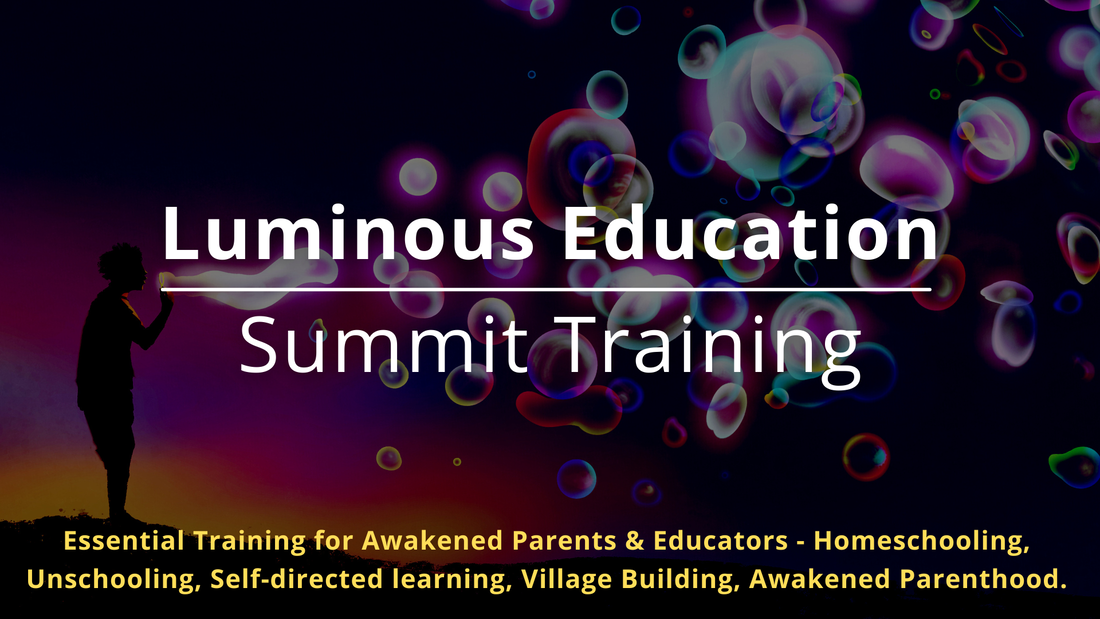 Luminous Education Revolution — Past Summit